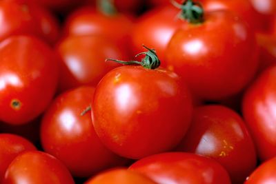 Close-up of tomatoes
