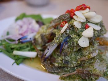 Close-up of meal served in plate