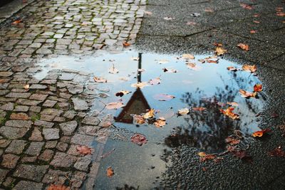 High angle view of puddle on wet street