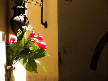 Close-up of flower vase against wall