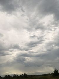 Low angle view of trees against sky