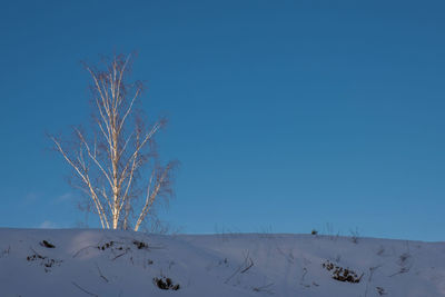 Scenic view of snow covered land against clear blue sky