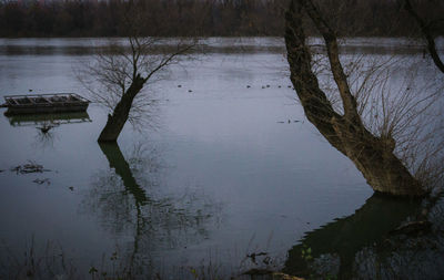 Reflection of trees in lake