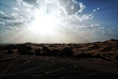 Scenic view of sahara desert against sky during sunny day