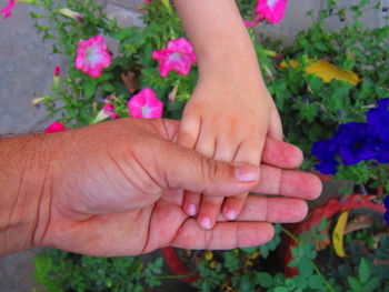 Cropped image of parent holding child hand over potted plants