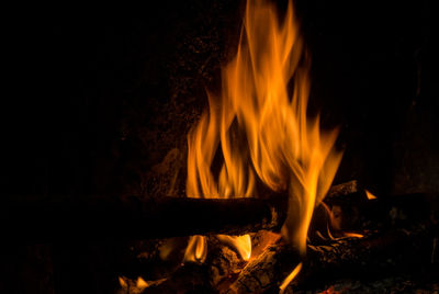 Close-up of fire in the dark
