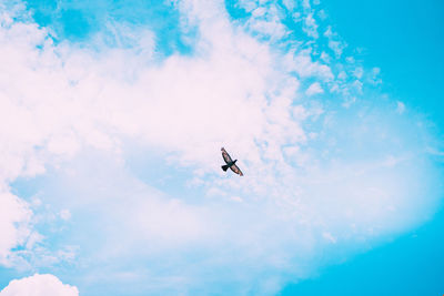 Low angle view of airplane flying in sky