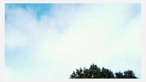 low angle view