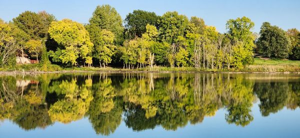 Scenic view of lake in forest during autumn