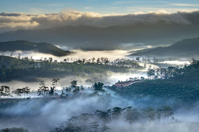 Panoramic view of trees and mountains against sky