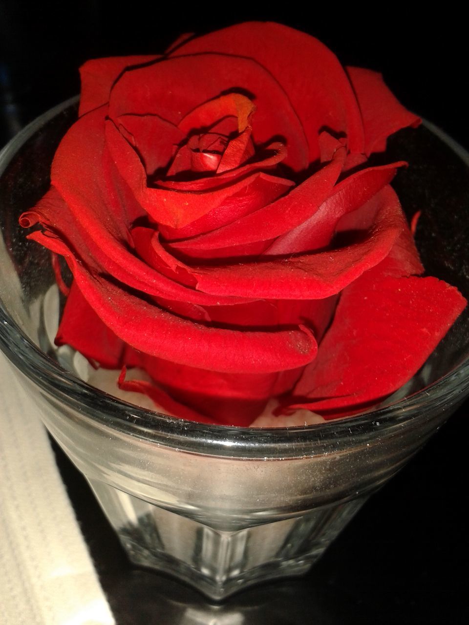 red, black background, studio shot, close-up, indoors, freshness, high angle view, still life, petal, flower, no people, detail, directly above, flower head, rose - flower, fragility, part of, night, selective focus, rose