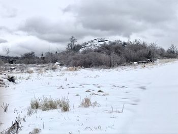 Scenic view of snow covered field against sky