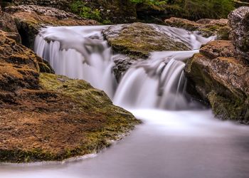 Close-up of waterfall in forest