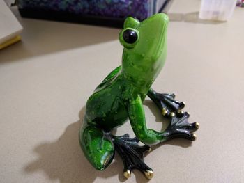 High angle view of frog on table