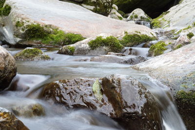 Scenic view of waterfall in forest