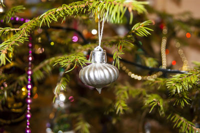 Close-up of christmas decoration hanging on tree