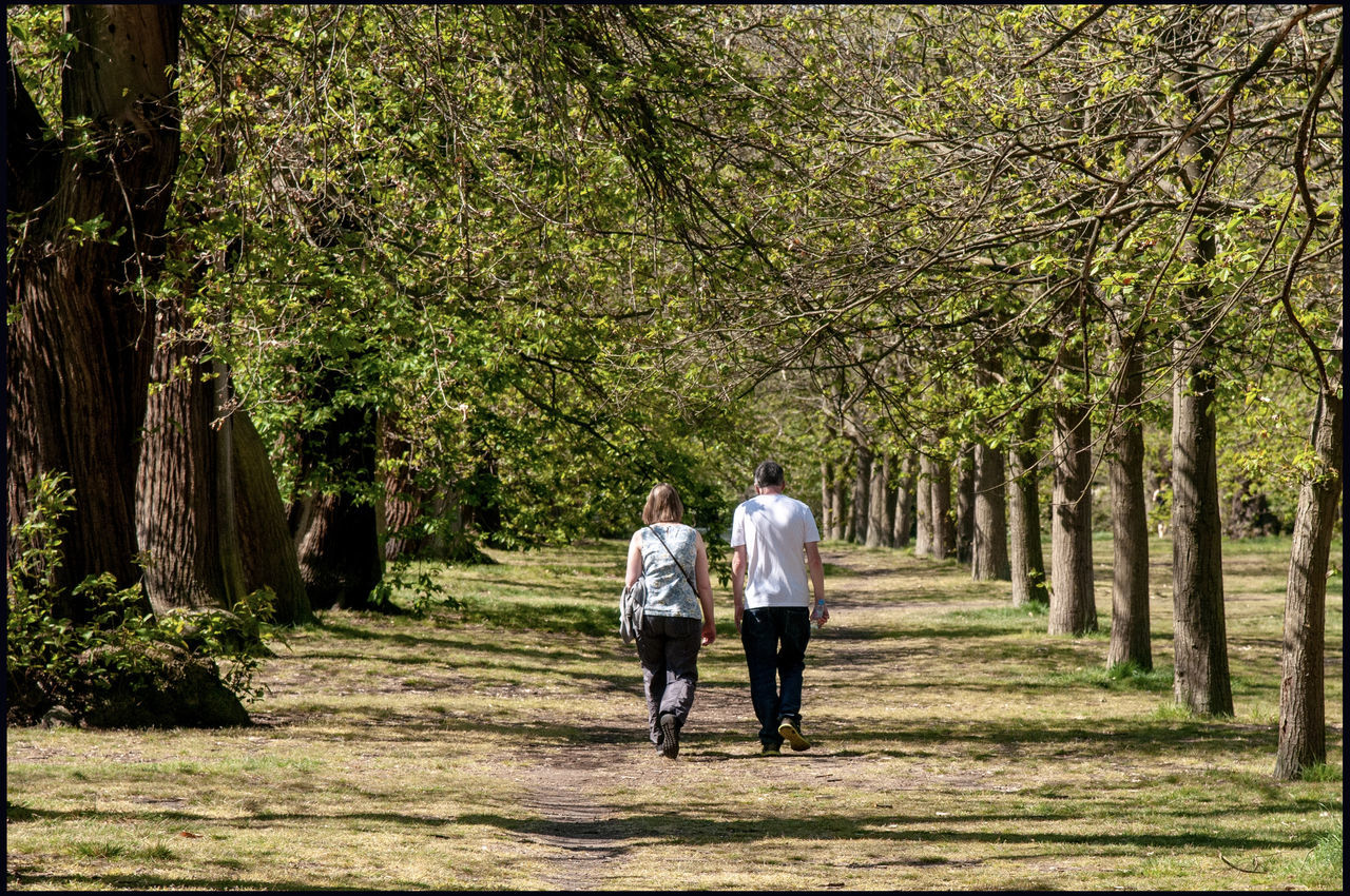 tree, plant, full length, two people, walking, rear view, togetherness, men, adult, love, nature, couple - relationship, casual clothing, women, emotion, day, heterosexual couple, positive emotion, bonding, lifestyles, outdoors, treelined