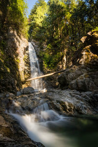 Scenic view of waterfall in forest