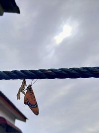 Low angle view of butterfly flying against sky