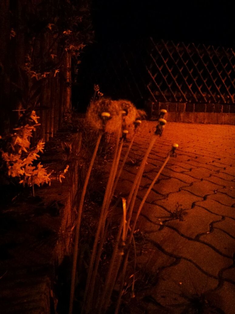 night, illuminated, fence, no people, outdoors, shadow, high angle view, sunlight, footpath, orange color, nature, metal, the way forward, dark, sunset, surface level, pattern, light - natural phenomenon, tranquility, street