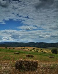 Scenic view of landscape against cloudy sky