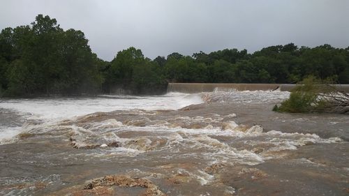 Scenic view of river amidst trees against sky