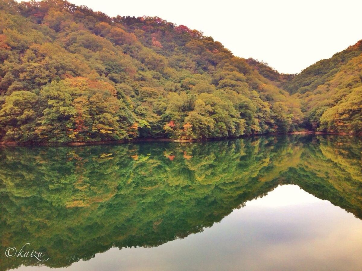 tree, reflection, tranquil scene, water, tranquility, scenics, beauty in nature, lake, nature, waterfront, mountain, green color, idyllic, sky, growth, standing water, river, non-urban scene, landscape, lush foliage