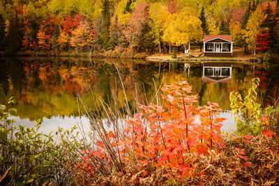 Reflection of trees in lake during autumn