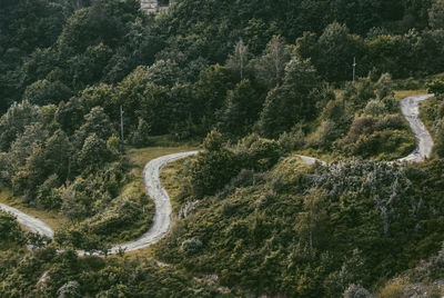 High angle view of winding road amidst forest
