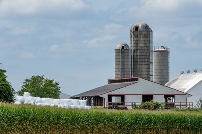 Plants growing on field by building against sky