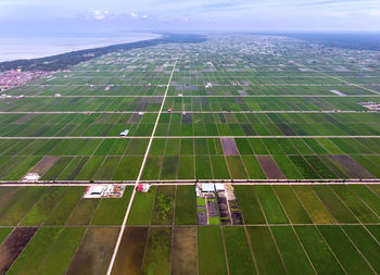 Beautiful aerial view of green paddy field