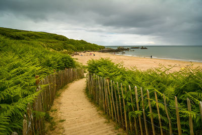 Scenic view of beach against sky