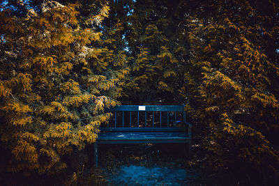 View of bench by trees in park during autumn