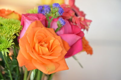 Close-up of rose bouquet