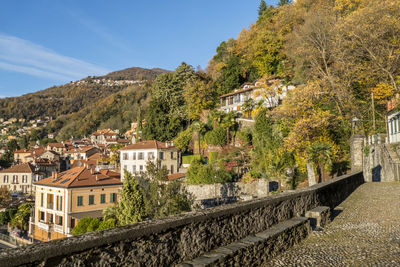 Foliage with red leaves near the lake maggiore in maccagno.