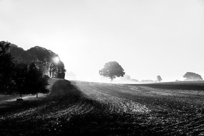 Scenic view of field against clear sky