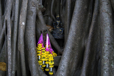 Floral garlands hanging in tree trunk