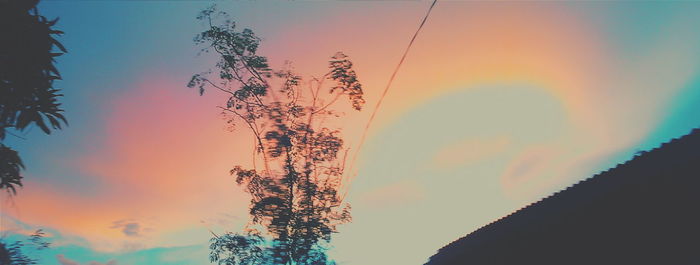 Low angle view of silhouette trees against sky during sunset