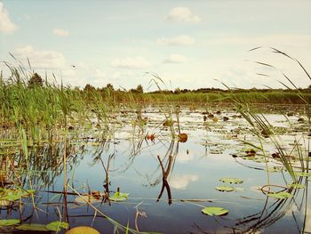 Scenic view of lake against sky
