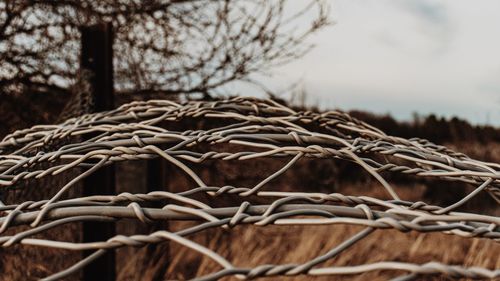 Close-up of barbed wire on field against sky