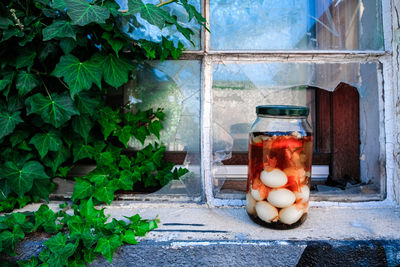 View of food on glass window