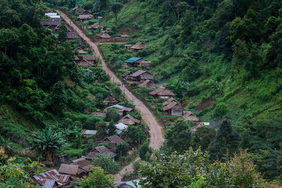 High angle view of trees in forest