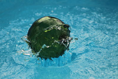 Close-up of green sphere in swimming pool