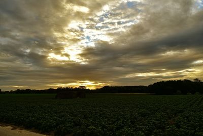 Scenic view of field against sky during sunset