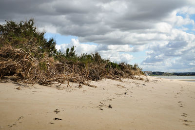 Scenic view of beach against cloudy sky