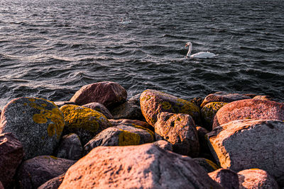 Scenic view of rocks on beach