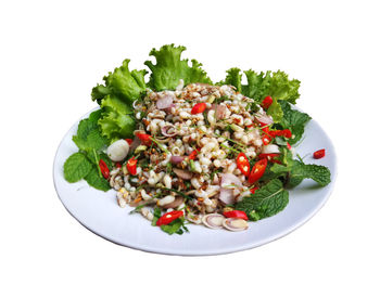 Close-up of salad in plate against white background