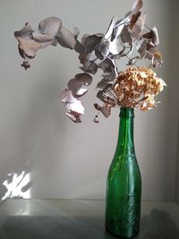 Close-up of white flowers in vase on table