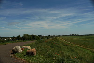 Scenic view of field against sky