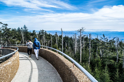 Rear view of men walking on footpath against sky